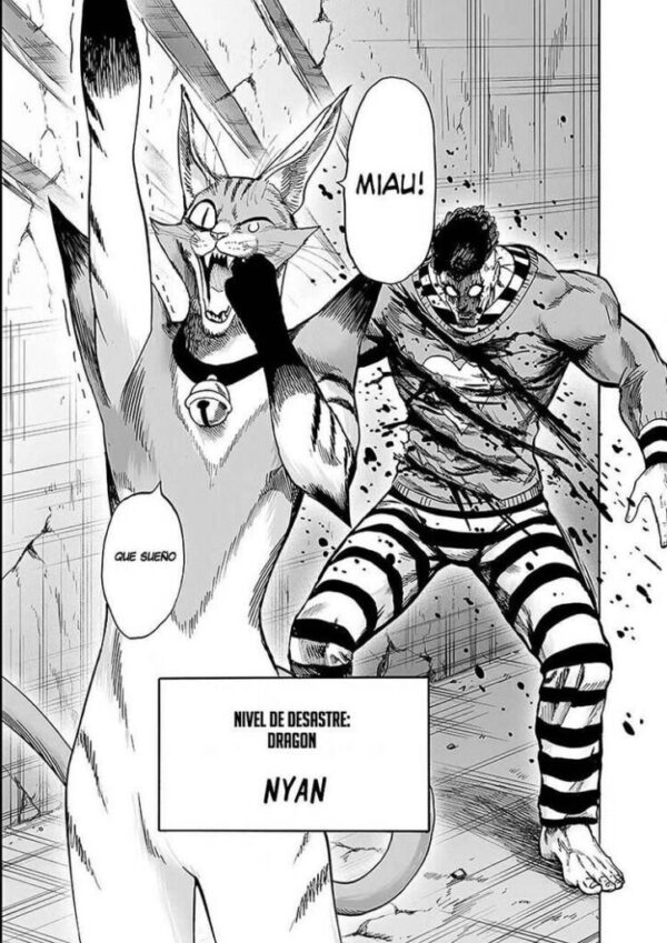 One Punch man Tomo #26