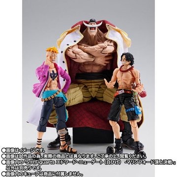 S.H.Figuarts Edward Newgate (shirohige)