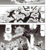 One Punch man Tomo #29